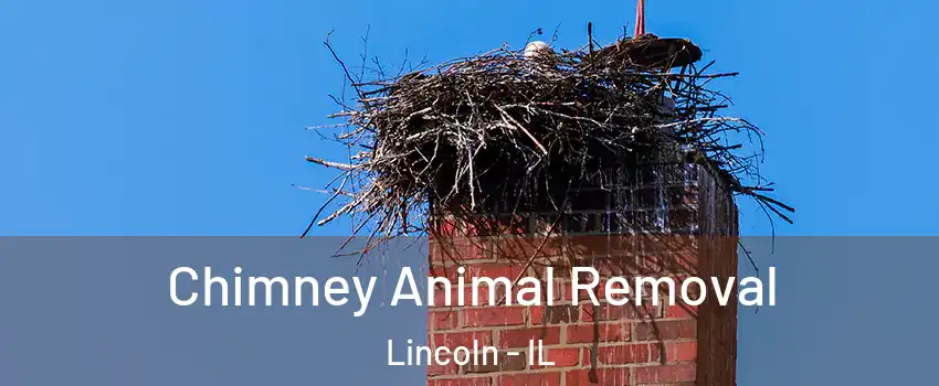  Chimney Animal Removal Lincoln - IL