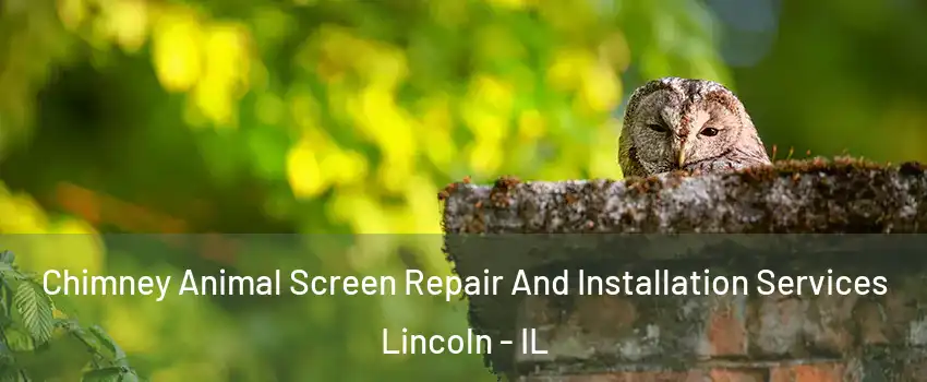  Chimney Animal Screen Repair And Installation Services Lincoln - IL