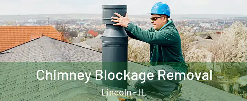  Chimney Blockage Removal Lincoln - IL