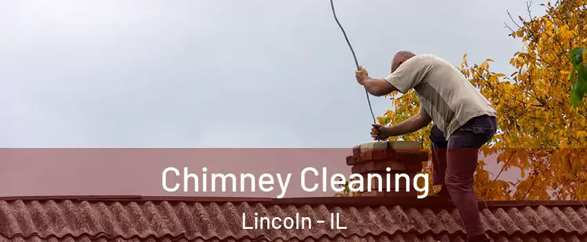  Chimney Cleaning Lincoln - IL