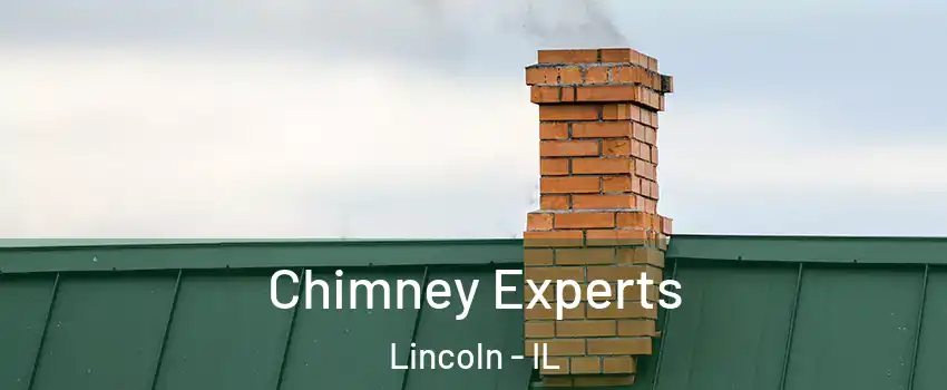 Chimney Experts Lincoln - IL