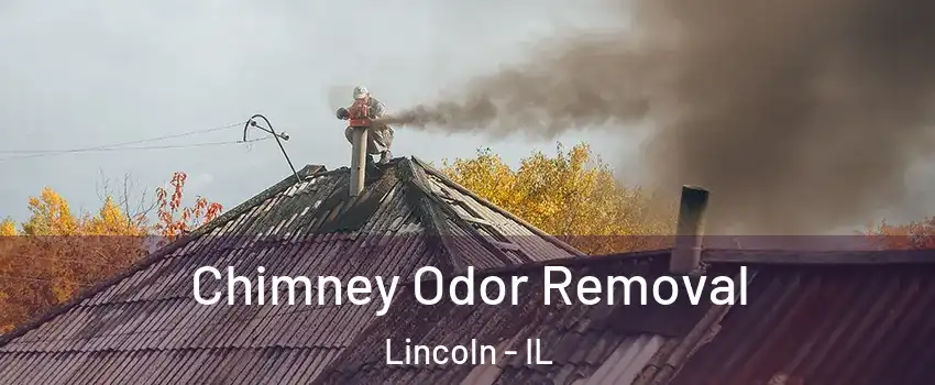  Chimney Odor Removal Lincoln - IL