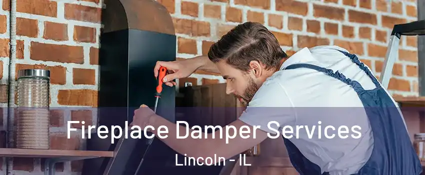  Fireplace Damper Services Lincoln - IL
