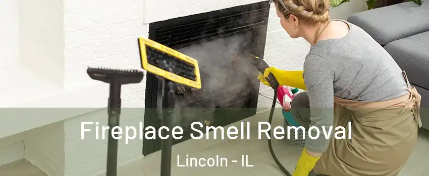  Fireplace Smell Removal Lincoln - IL