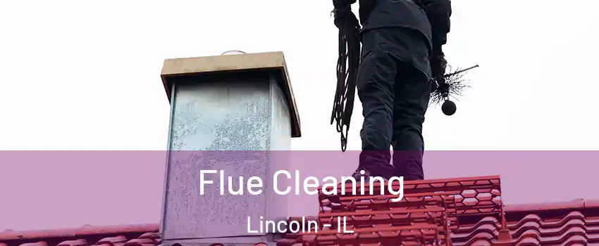  Flue Cleaning Lincoln - IL