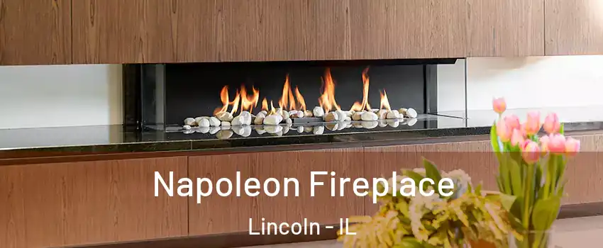  Napoleon Fireplace Lincoln - IL